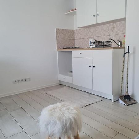 Cute Modern Apartman Zagreb Daire Dış mekan fotoğraf