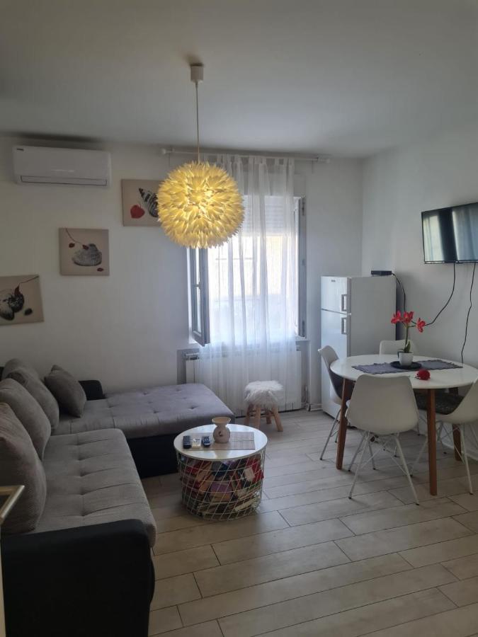 Cute Modern Apartman Zagreb Daire Dış mekan fotoğraf